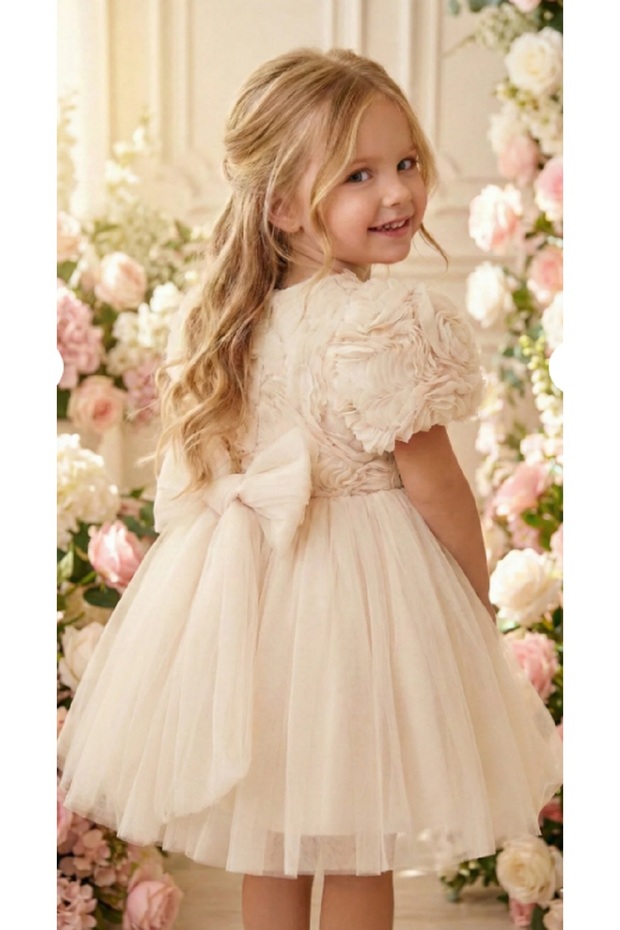Baby Girl Party Dress Birthday Dress with 3D Floral Tulle