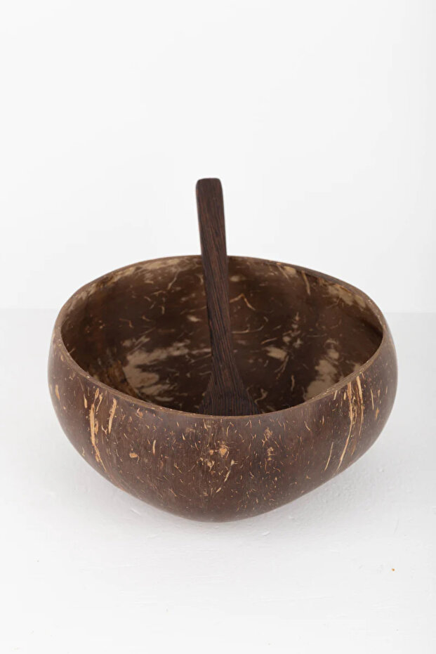 Handmade Polished Real Coconut Bowl Ebony Spoon
