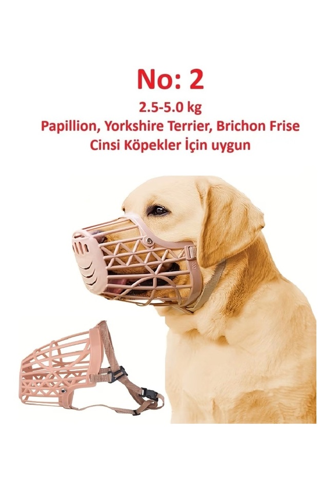 Köpek ağızlığı - 1