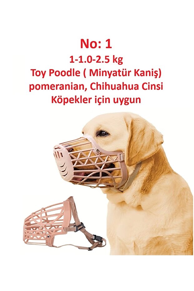 Köpek ağızlığı - 1