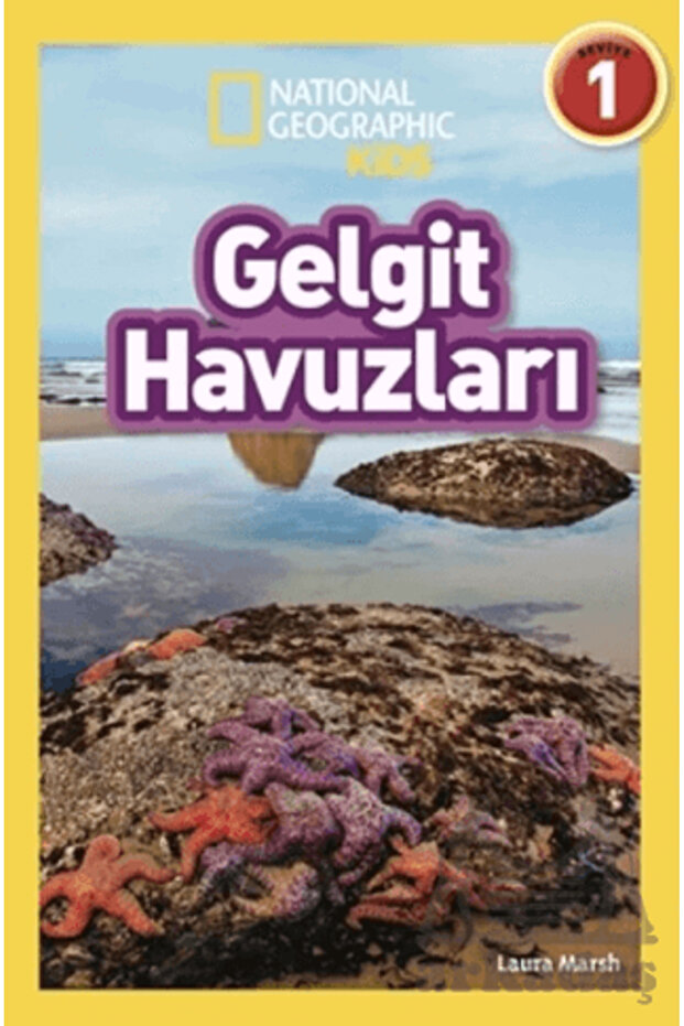 Tide Pools - 1
