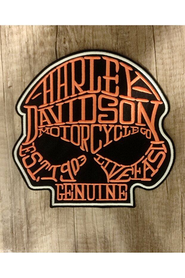 رقعة على شكل جمجمة - 1