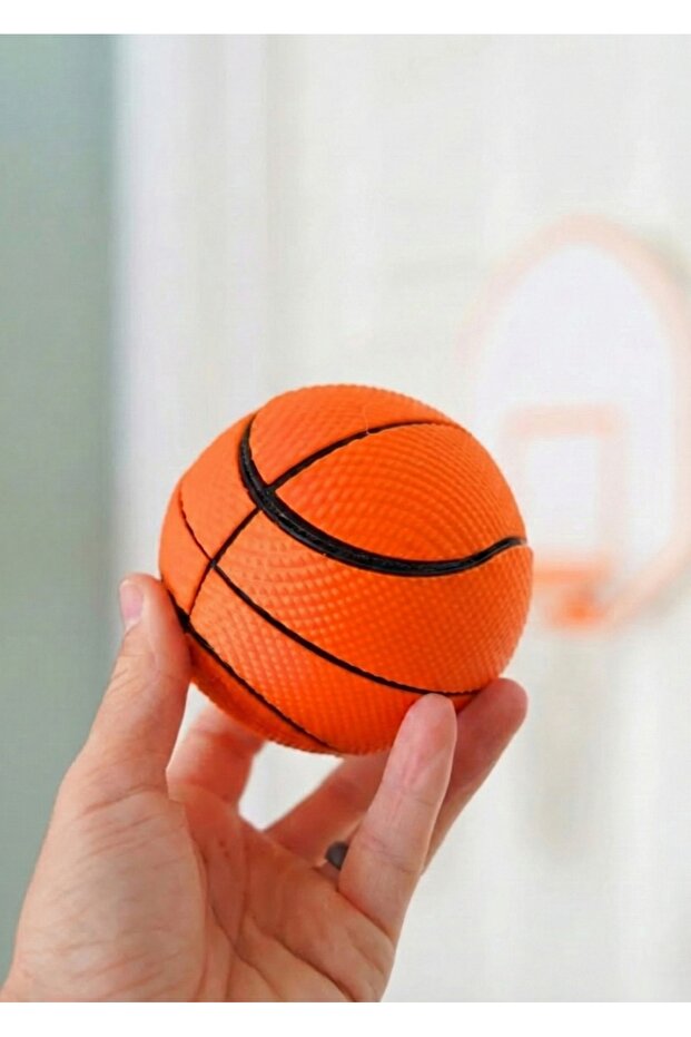 Mini Basketbol Potası - 4
