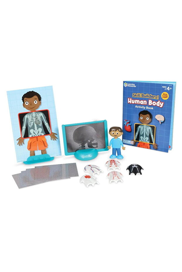 Educational activity set - Human body - 3