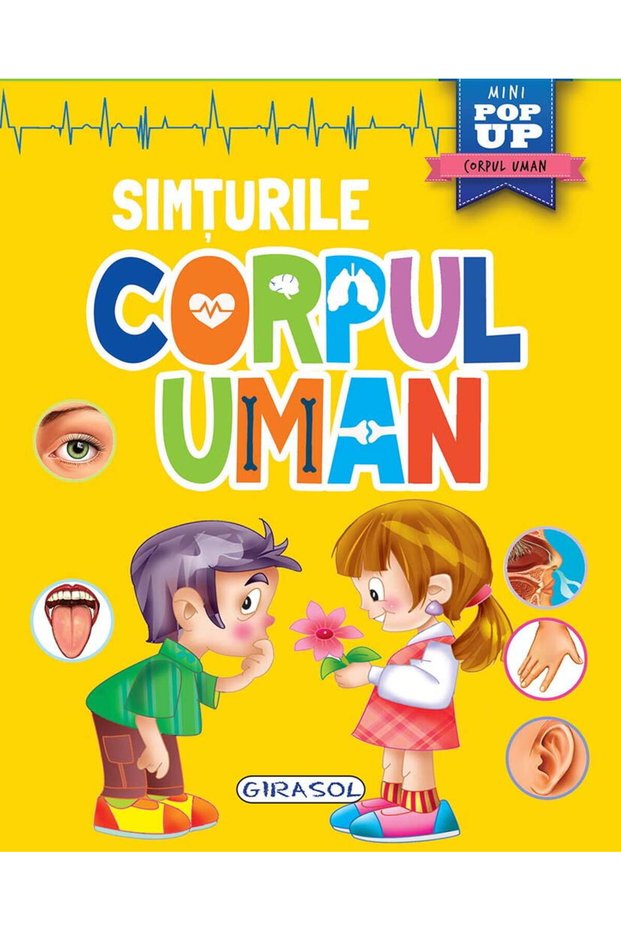 Corpul uman - Simturile
