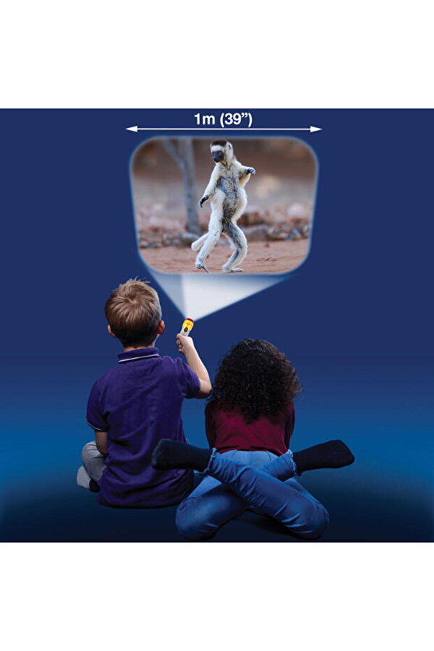 Flashlight projector - with animals - 2
