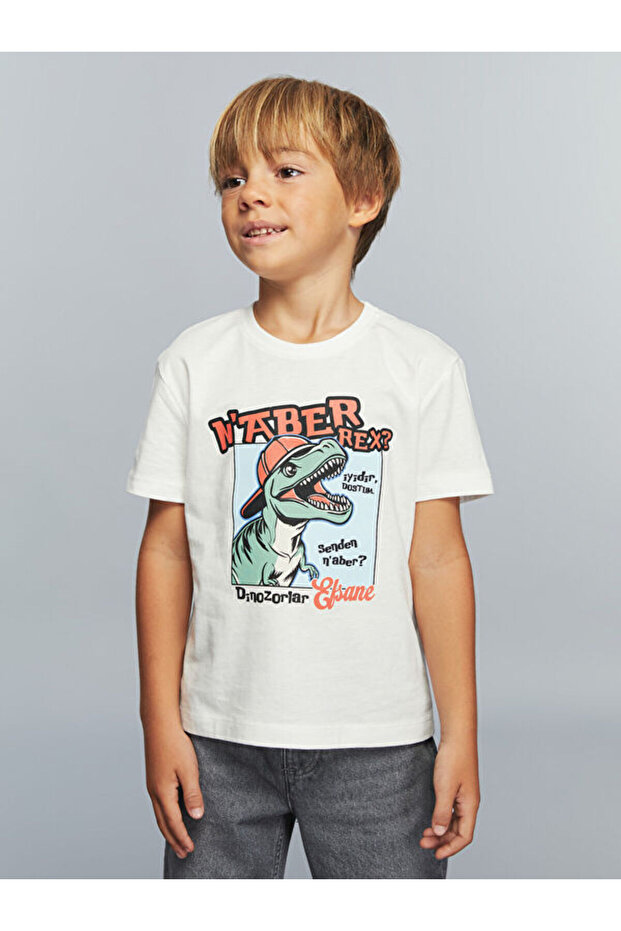 Quality Parts from Çelebi Store Oval Collar Dinosaur Printed Boy's T-Shirt