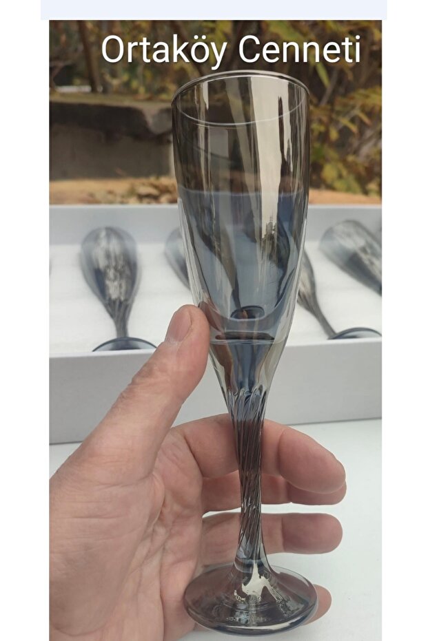 Pasabahce Silver Gilded Twist Model 6 Flutes Glasses 150 Cc Volume 21 cm Height 5.5 cm Mouth Opening