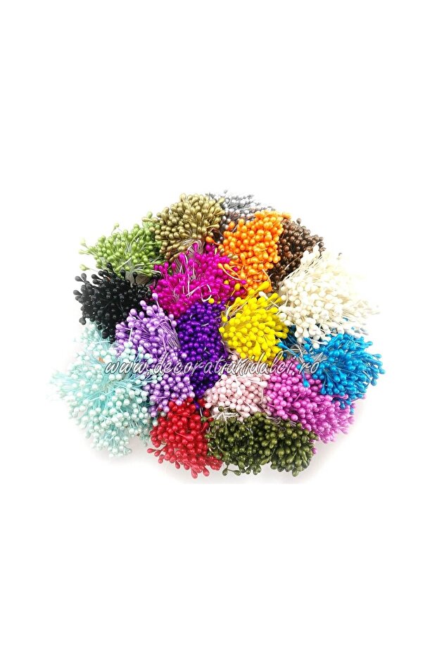 Stamine - Roz - 1
