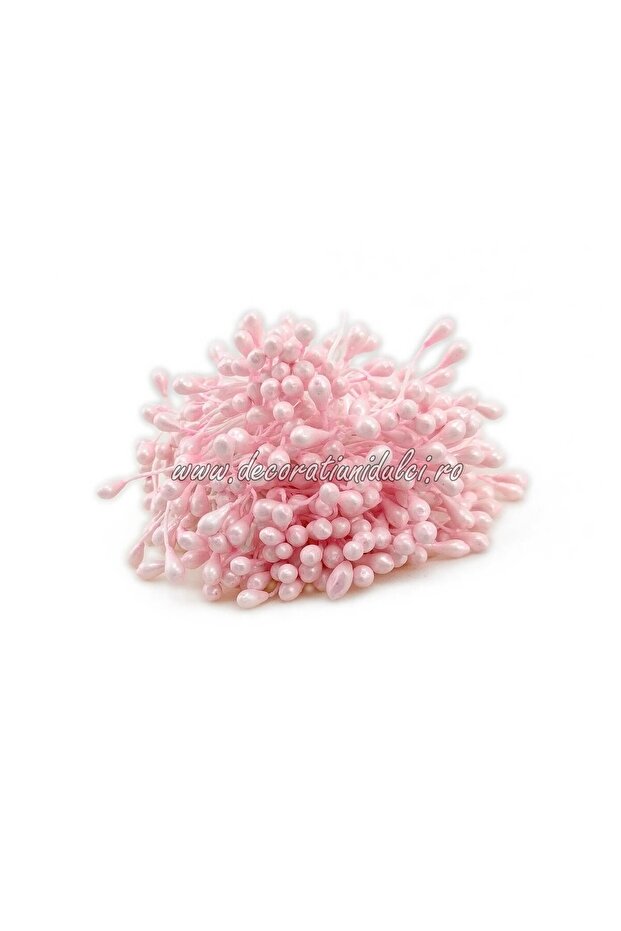 Stamine - Roz - 2