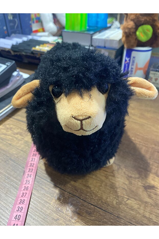 Plush Sounding Black Lamb