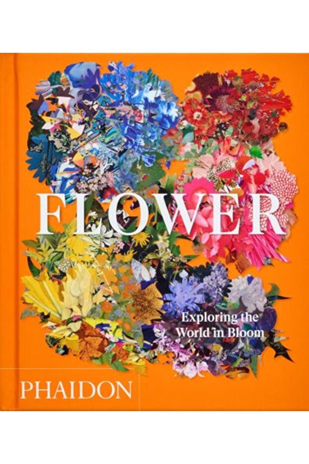 Flower: Exploring the World in Bloom - 1