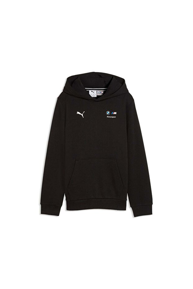 Bmw m Motorsport Essentials Youth Hooded Sweatshirt
