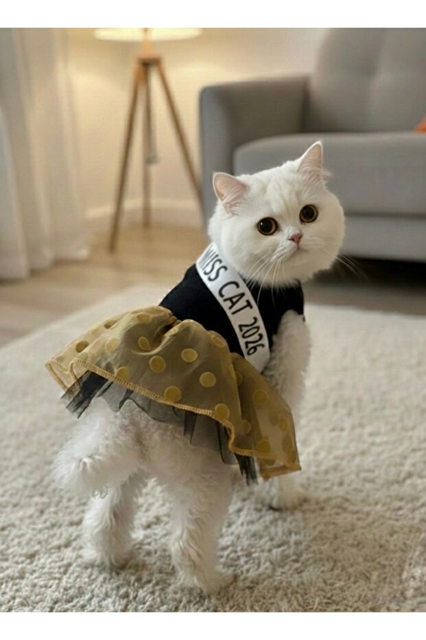 Cat Dog Special Design Tutu Dress