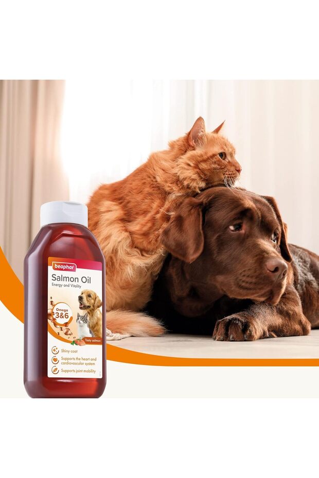 زيت السلمون - 2