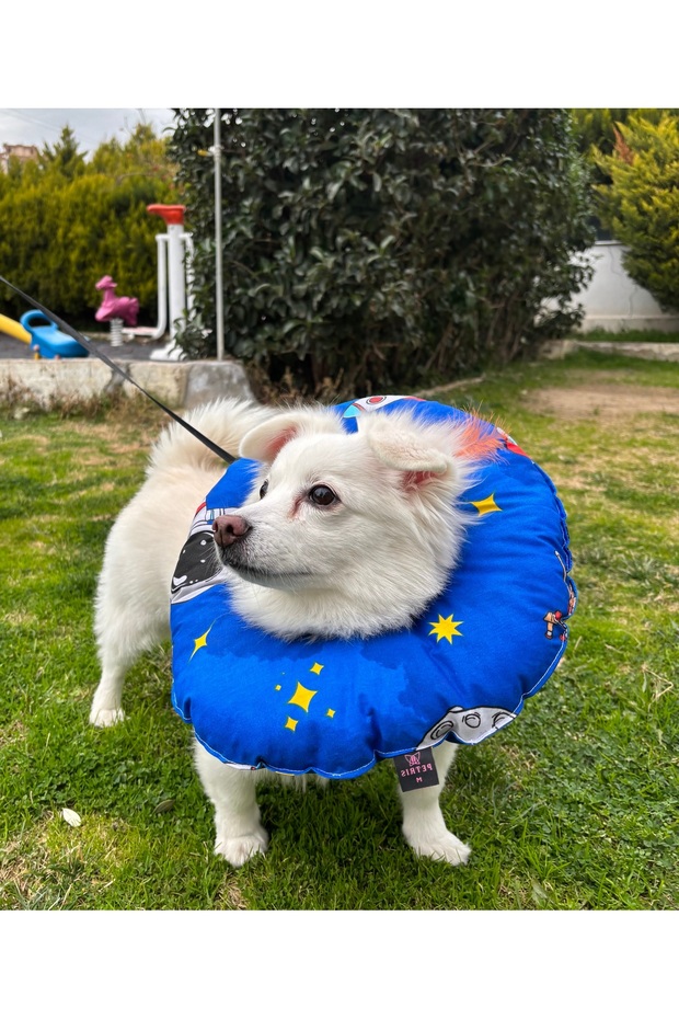 Cat And Dog Neck Collar-elizabeth Collar Operation Neck Collar-cat Neck Pillow (HEADS)