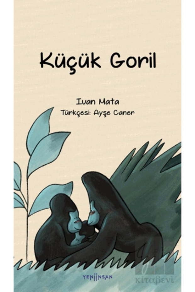 Küçük Goril