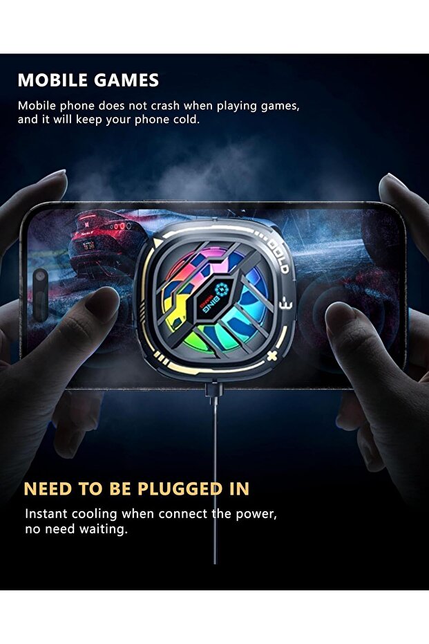 إكسسوارات الكلاب - 5