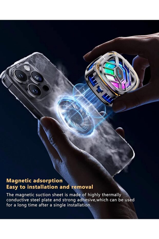 إكسسوارات الكلاب - 4