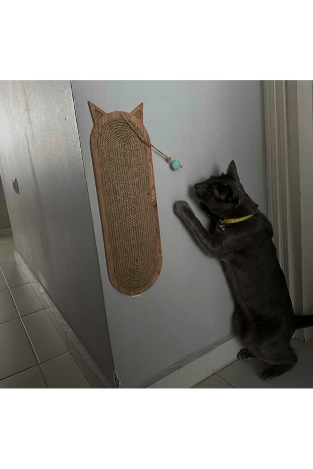 Wall Mountable Cat Scratch Board - 3