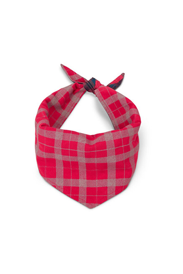 Köpek Fuları, Çift Taraflı, Reflekt - 4