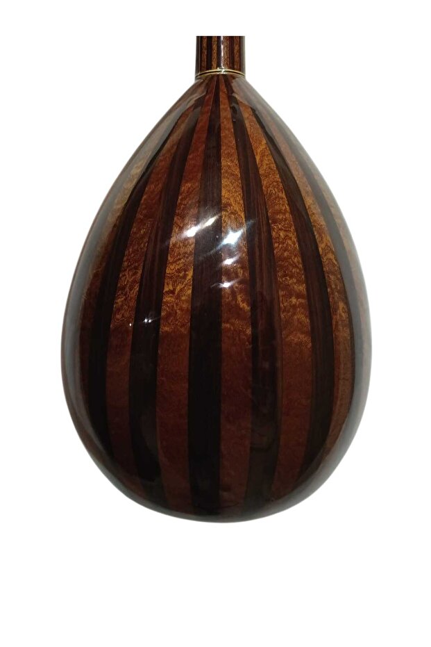 Tam Profesyonel Ud - 4