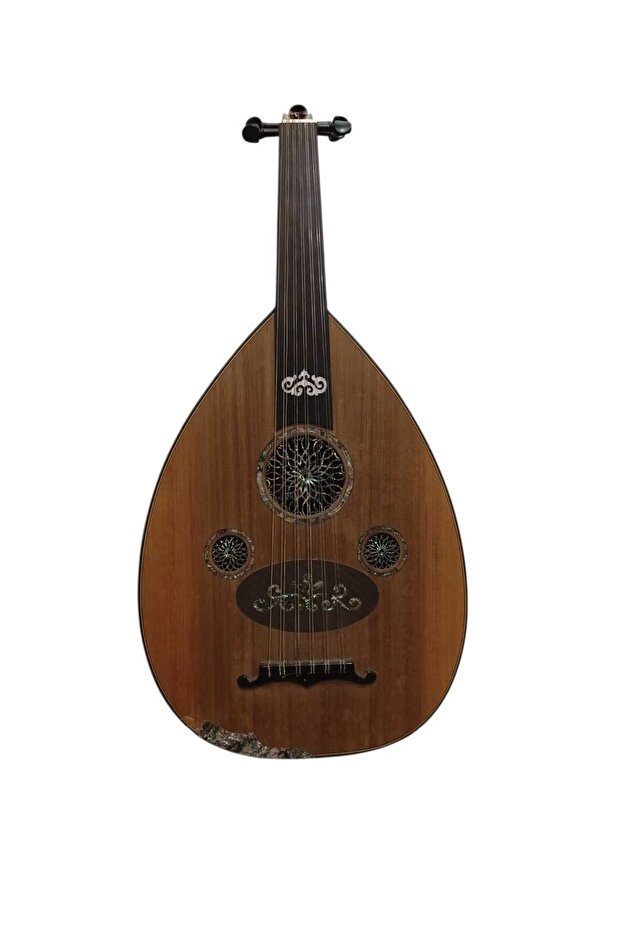 Tam Profesyonel Ud - 1