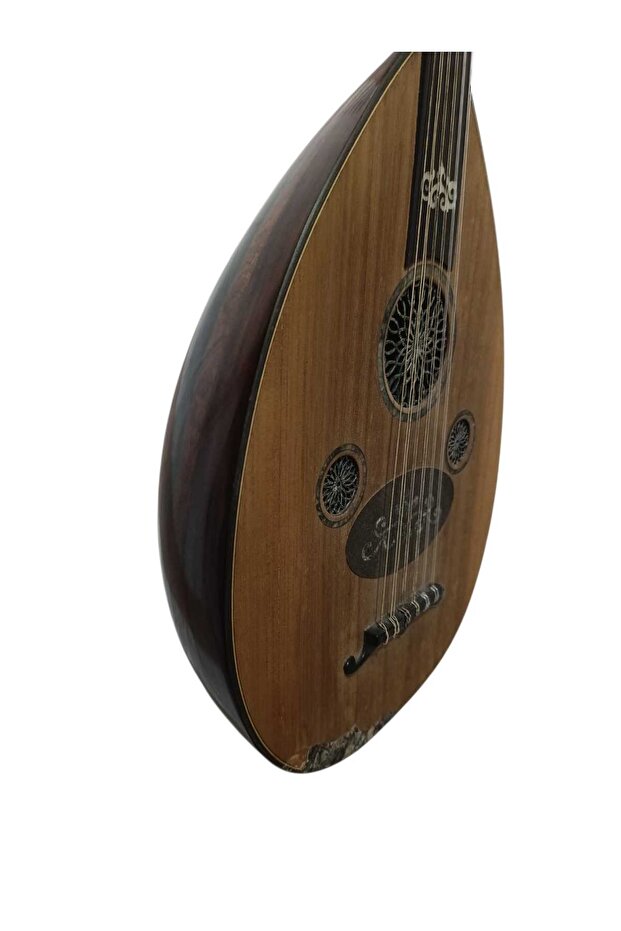 Tam Profesyonel Ud - 3