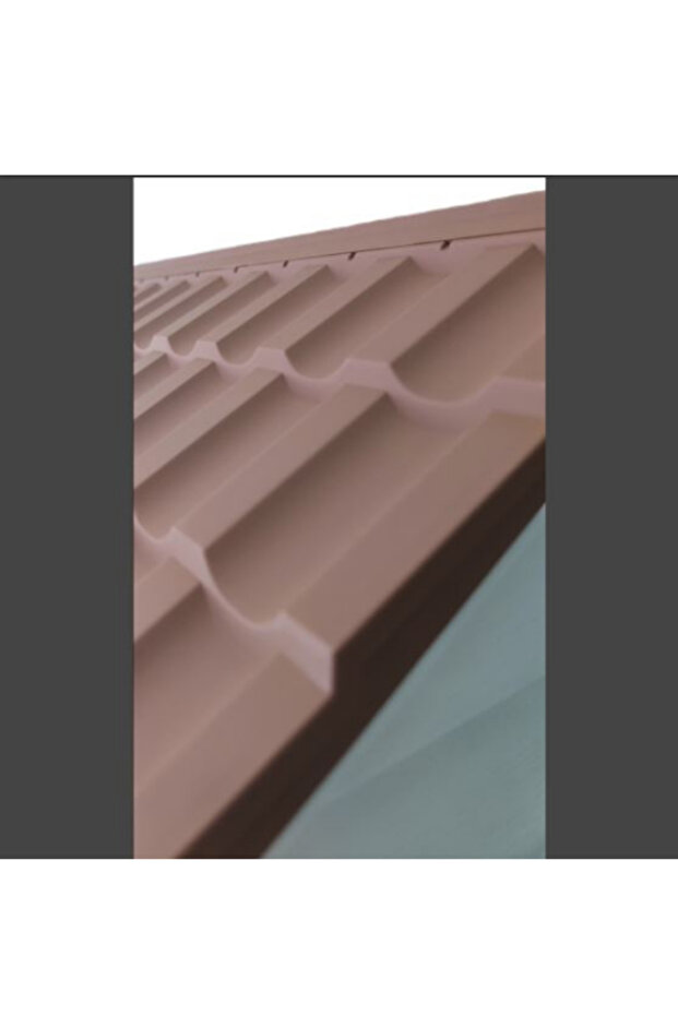 KÖPEK KULÜBESİ - 6