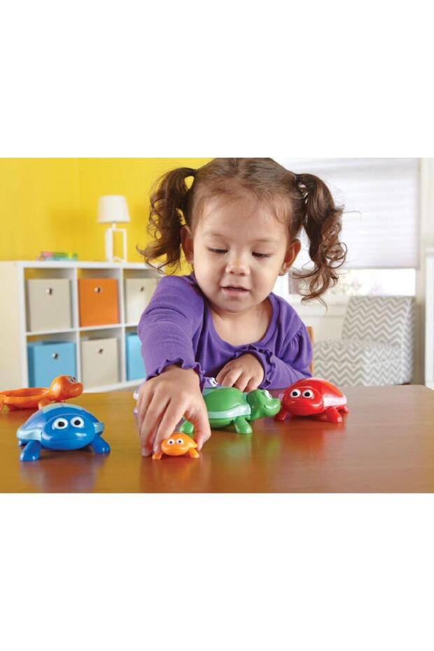 Turtles with numbers - 4