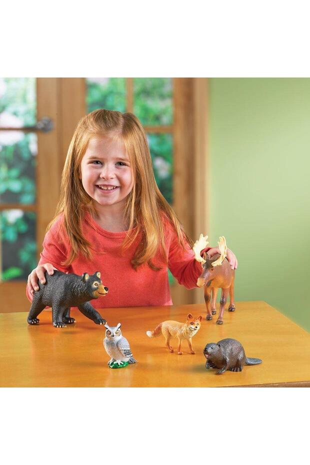 Role play - Forest animals - 3