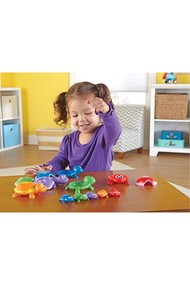 Turtles with numbers - 5