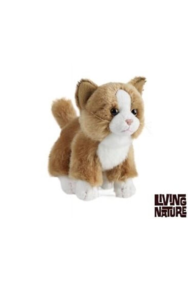 Pisicuta de plus - 3