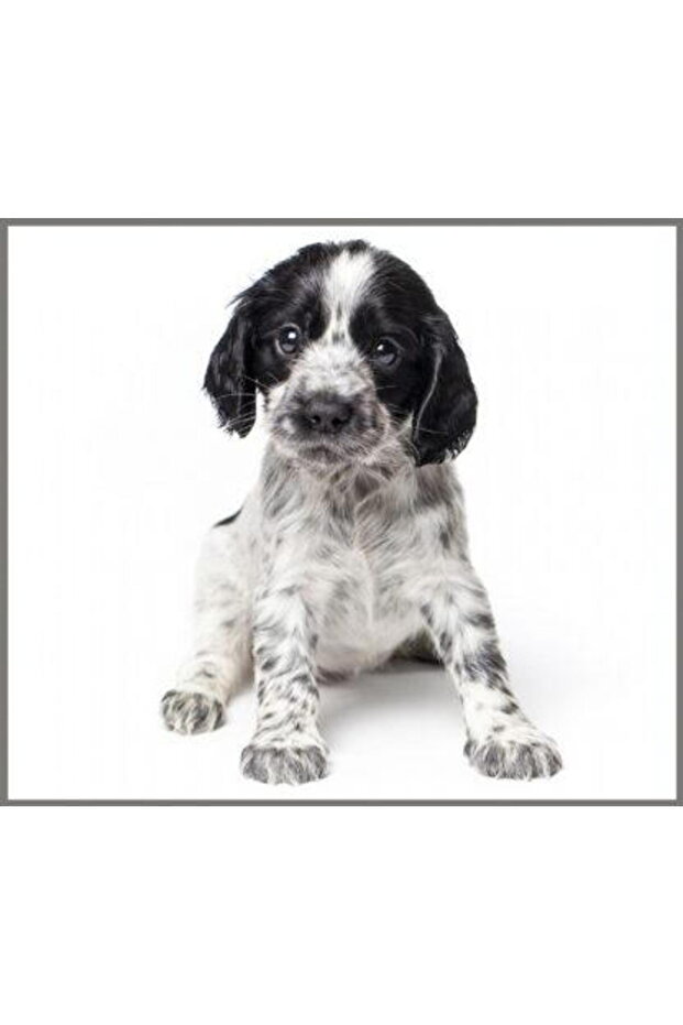 Flashlight projector - Cute animals - 4