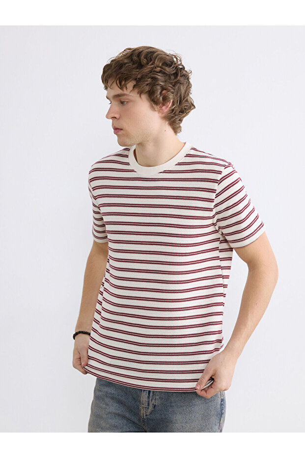 Crew Neck Striped Men's T-Shirt