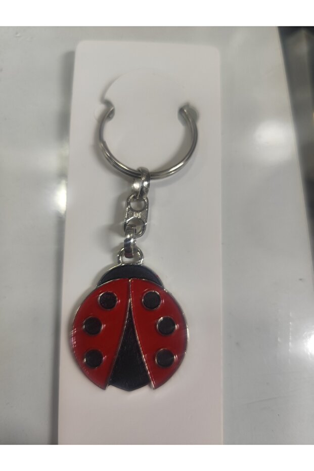 Anahtarlık