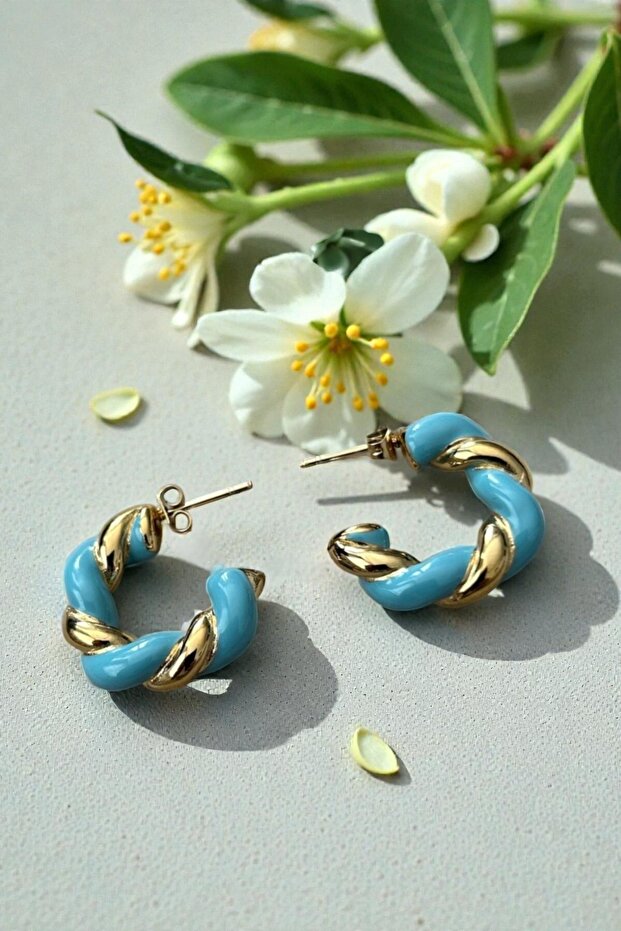 316L Enamel Model Steel Earrings