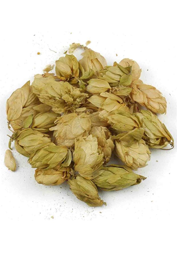 عشبة الشربات 50 جرام - 4