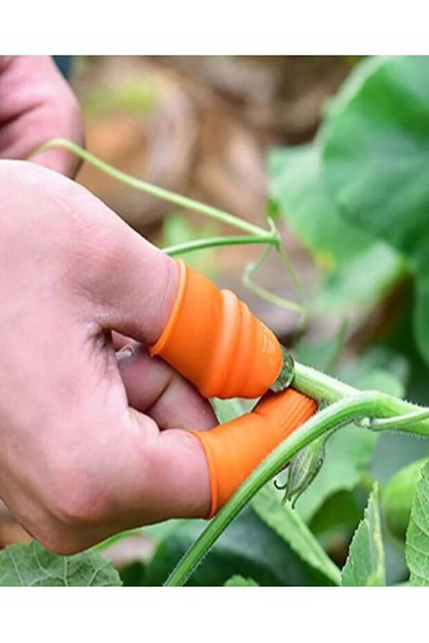 أداة عملية لتقطيع وفرز الخضروات بالبصمة 1277 (1047) - 4
