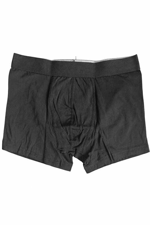 Erkek Boxer Dynamic - 2