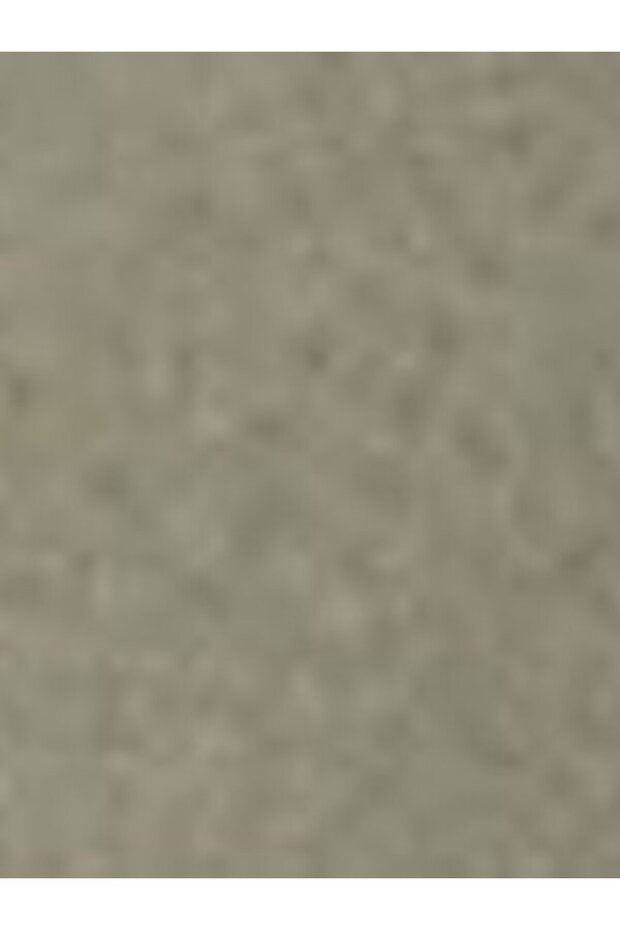 Authentic Button Down Gömlek - 3