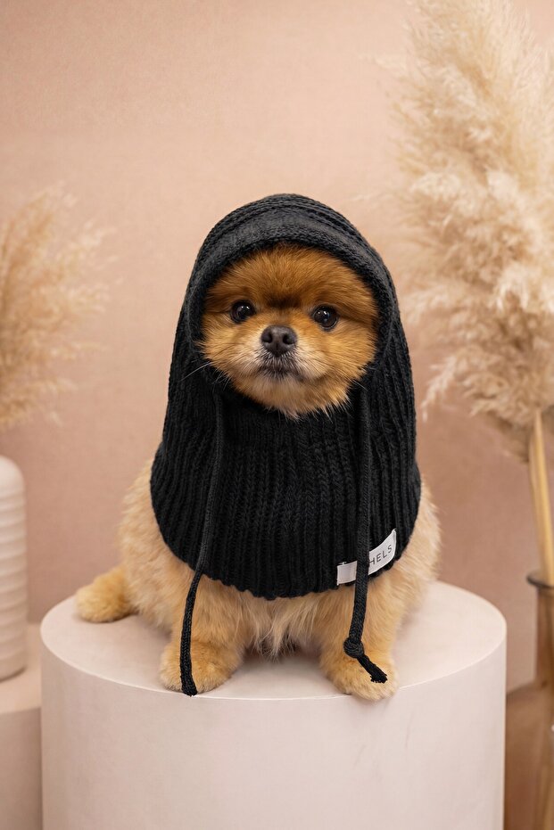 Dog Black Knitwear Knitted Balaclava Beanie Hat