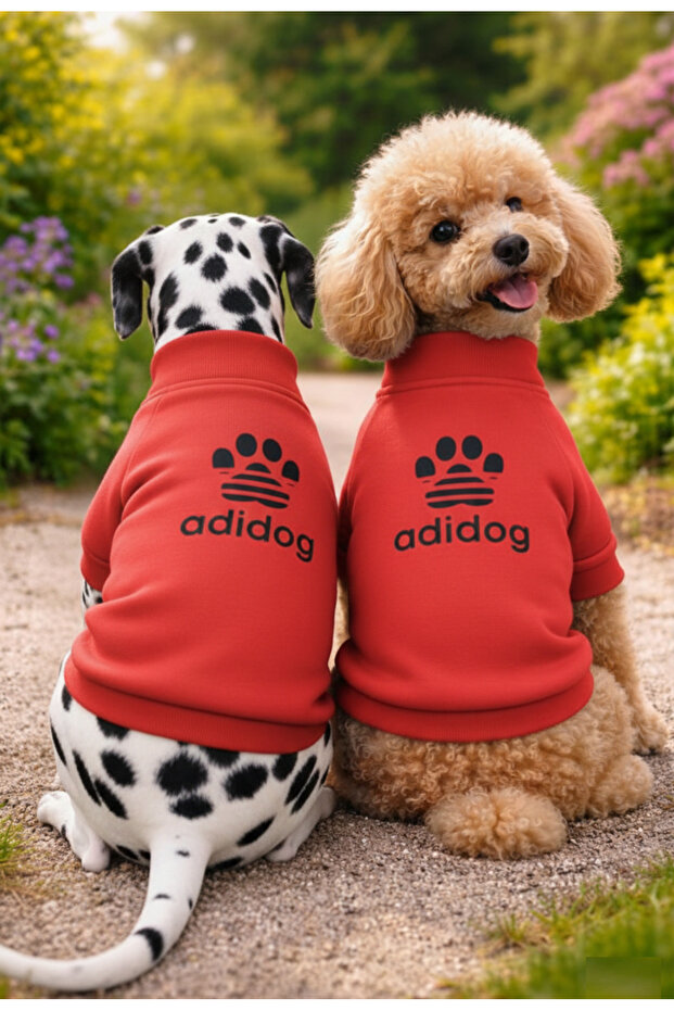 Cat Dog Printed Sweat