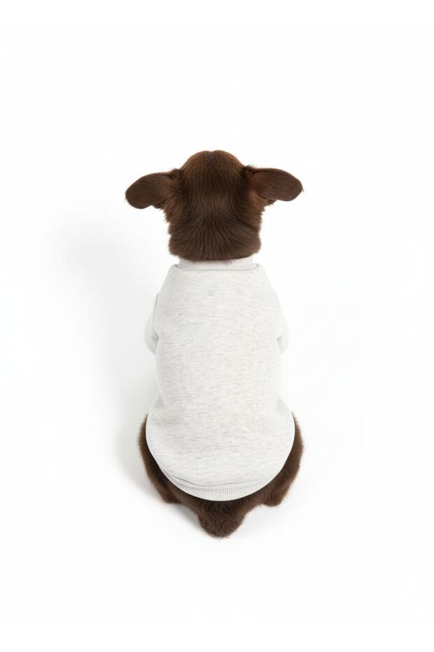 Dog Sweater Gray Dog T-Shirt Gray Sweat Hoodie