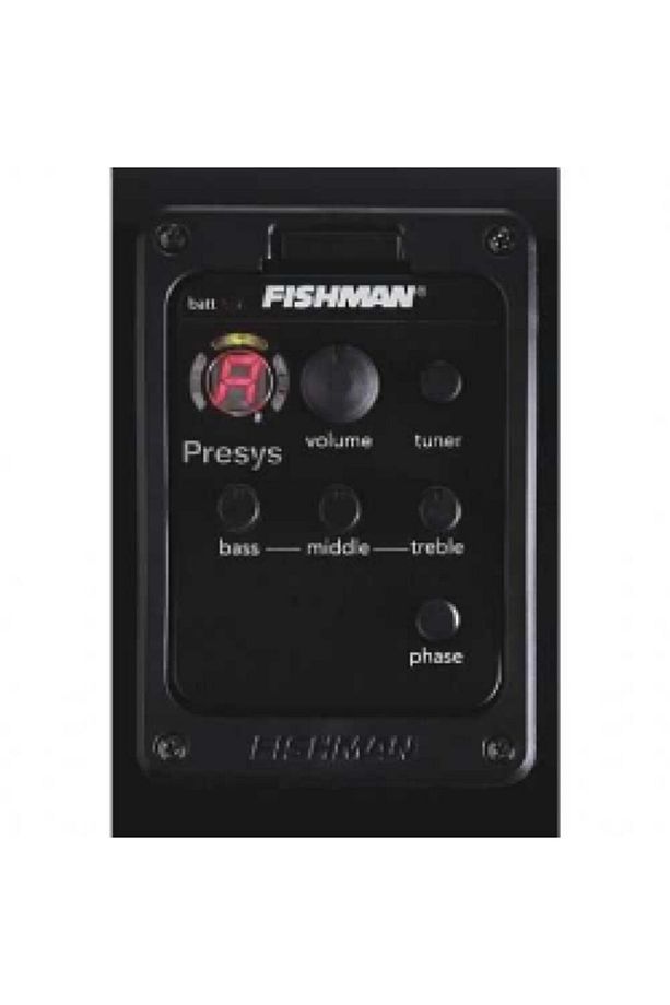 Fıshman Psy101-n40 Ekolayzer - 1