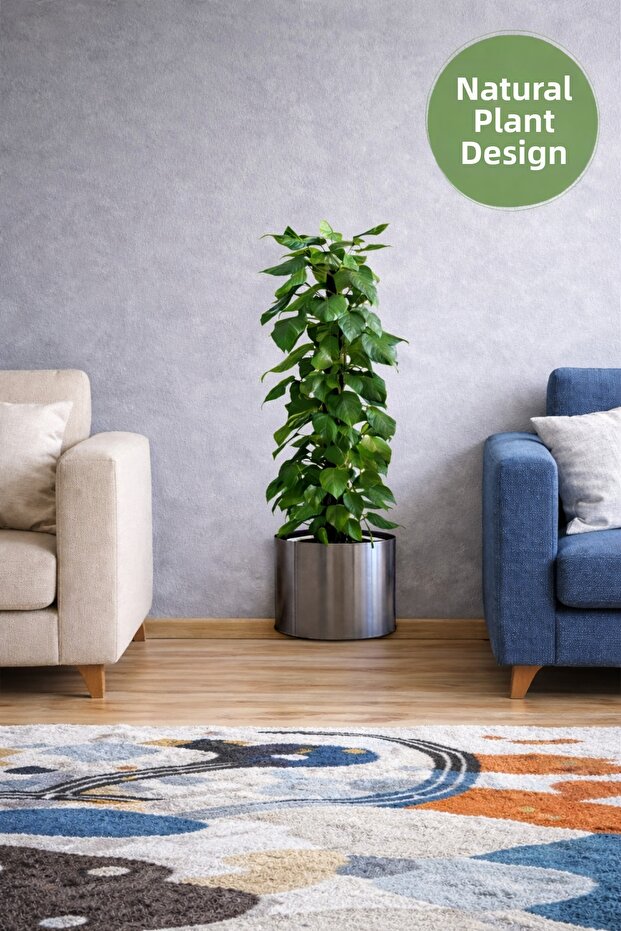 Plant Design Wall Sticker 90X30 cm – Decorative Wall Ornament with Green Leaves in Pots
