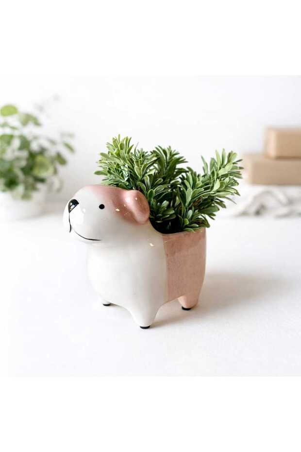 Köpek Saksılık - 3