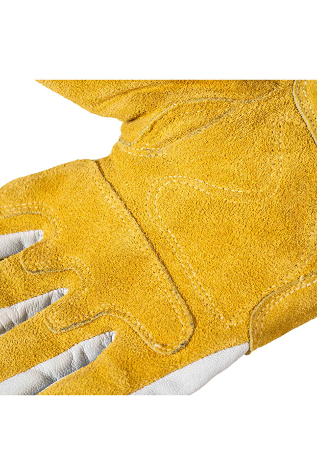 Veteriner Kedi Eldiveni - 4