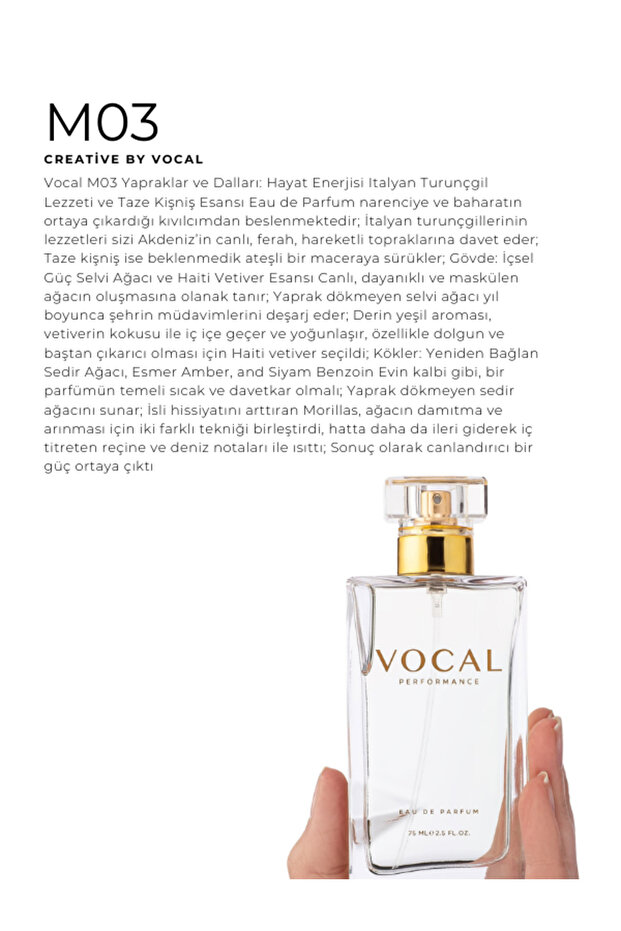 M03 Erkek Parfüm Edp 75 ml - 3