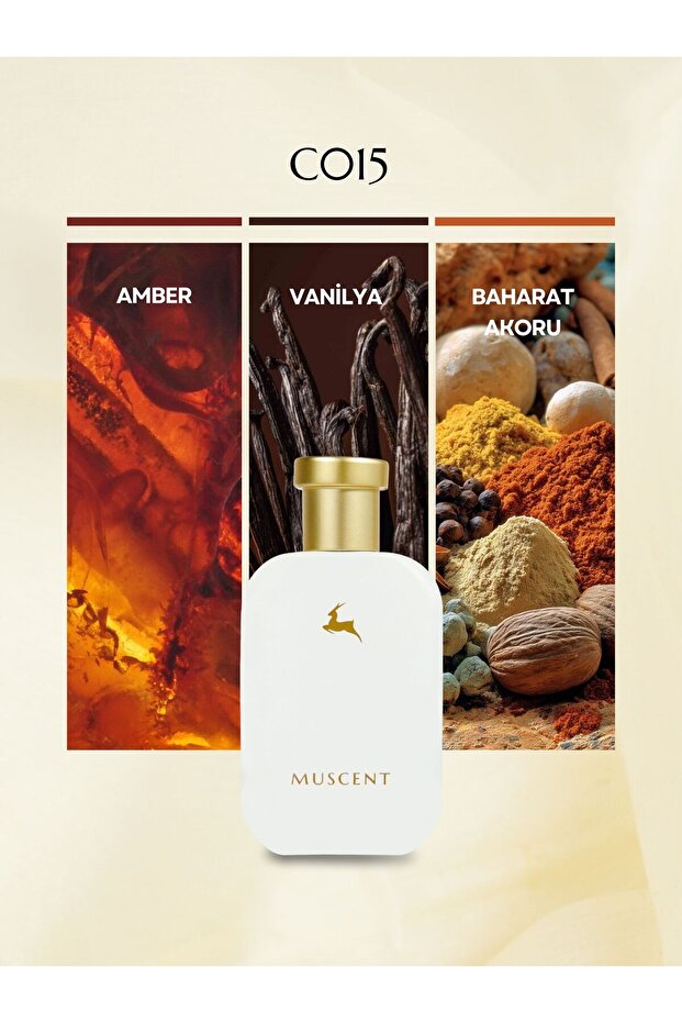 C015 Mat 5 50 ml. - 1